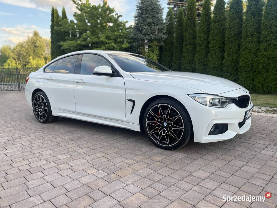 Bmw Seria 4 F36 2016 xDrive 428i Dudki