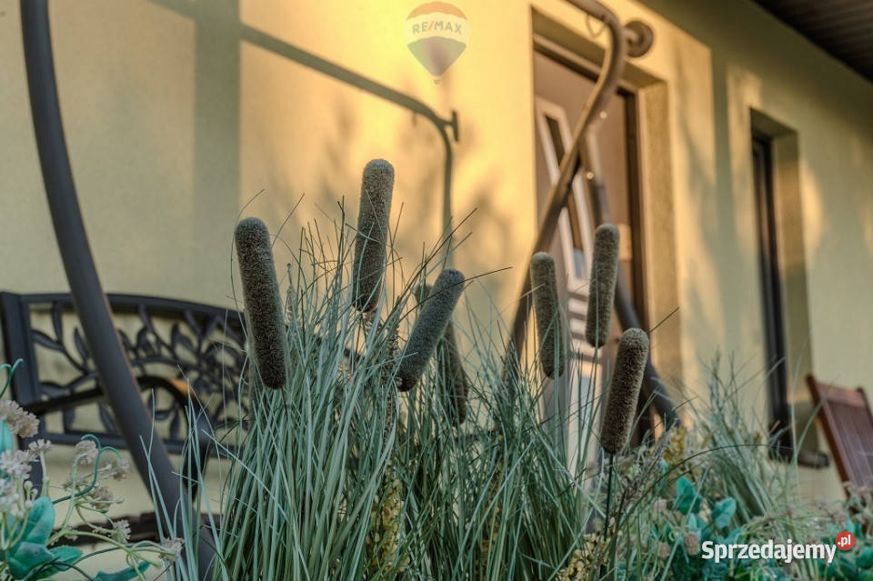 Dom Górki Wielkie wolnostojący