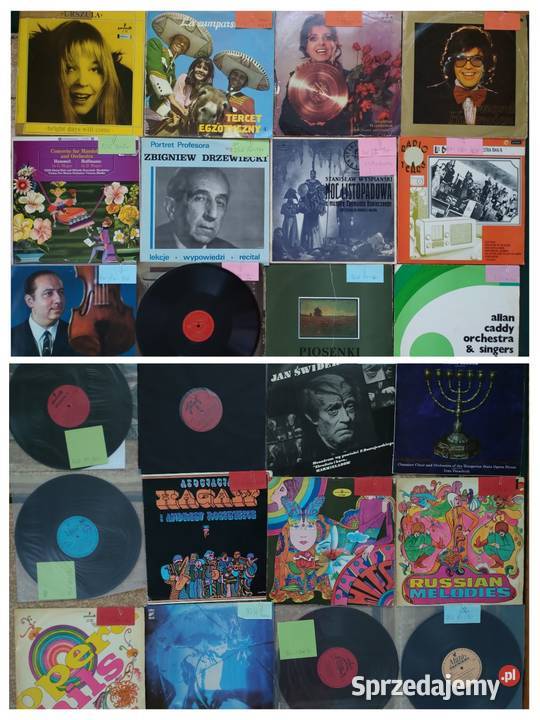 Płyty winylowe Gigantyczny MIX do wyboru do płyta winylowa Płyty i kasety lubelskie Sułów