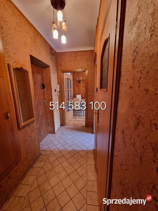 2 pokoje PragaPółnoc Brechta 13a Bezpośrednio sieć Sprzedaż mazowieckie Warszawa