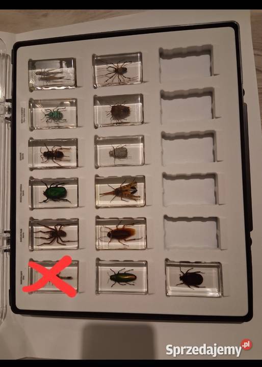 Prawdziwe Owady pajęczaki I inne robaki Figurki śląskie Cieszyn