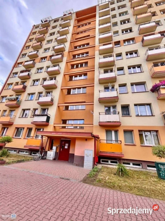 Mieszkanie 279m2 1pokojowe Kielce sprzedam