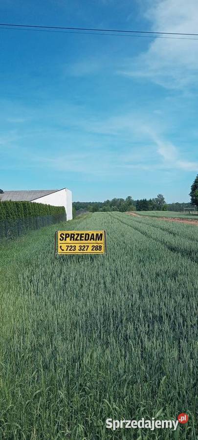 Gospodarstwo rolne działka 2ha Kowalin