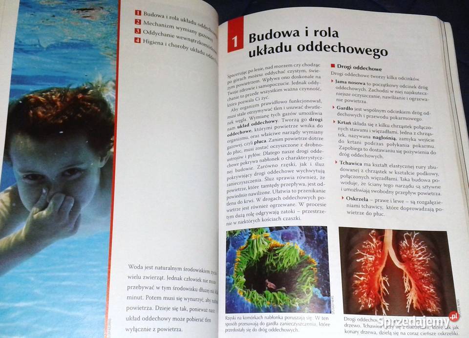 Puls życia 2 Małgorzata Jefimow miękka lubelskie Chełm sprzedam