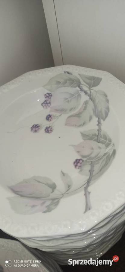 Talerz do zupy Jeżyna Rosenthal Maria pomorskie Gdańsk