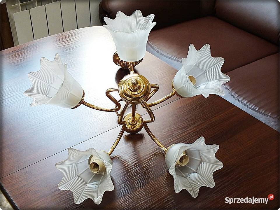 Złoty Żyrandol 5 ramienny Tulipany Lampa wisząca Żary
