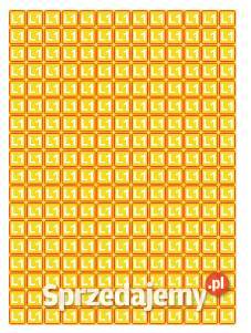 Naklejka na rozdzielnice faza L1 żółta 234 13 mm Kamionna