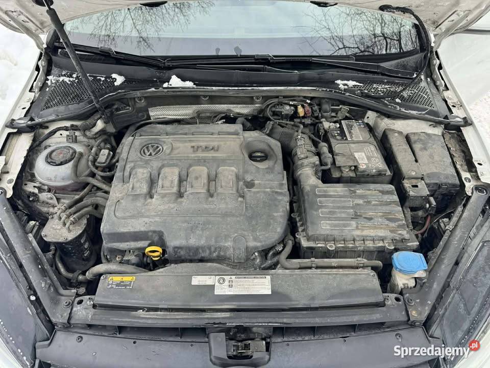 Vw Golf 7 salon Serwis Aso 2019 Warszawa