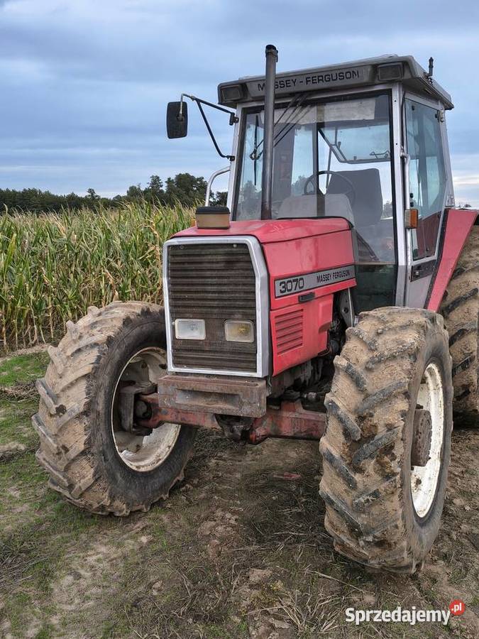 Massey Ferguson 3070 3060 3050 3080 Uniejów