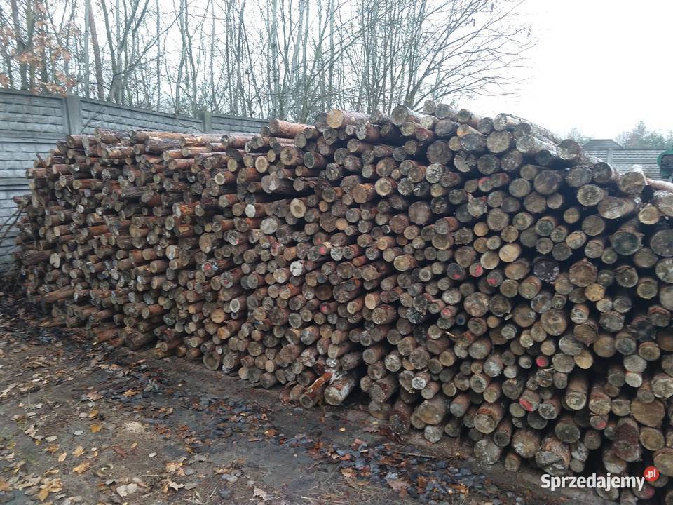 Stęple Budowlane Chynów sprzedam