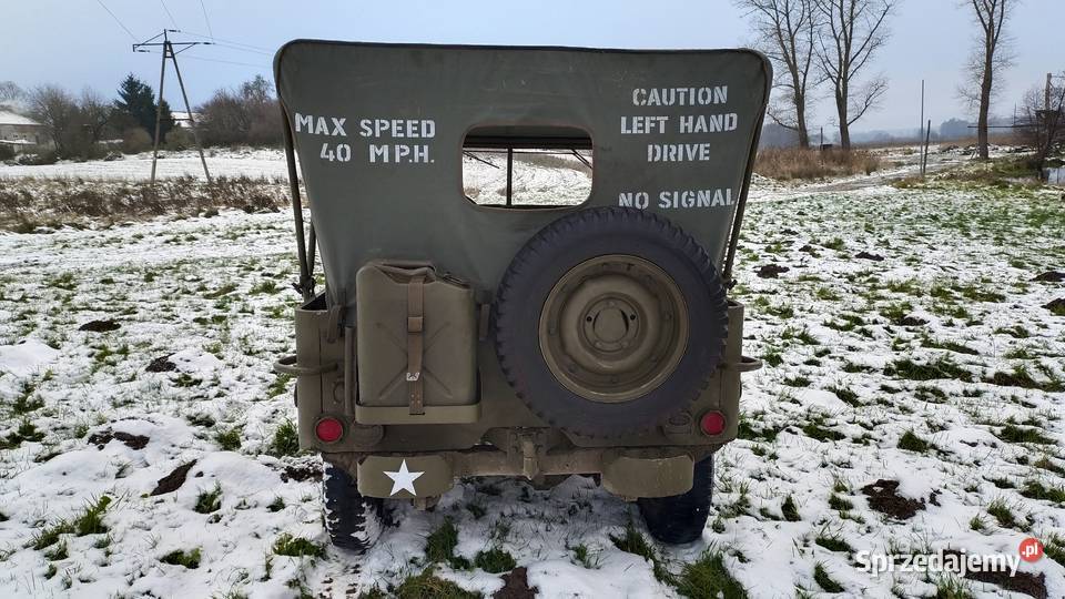 Willys MB Jeep zabytek Trzebiatów sprzedam