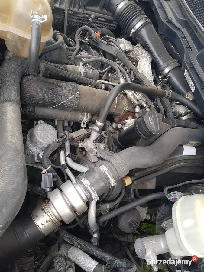 SILNIK DODGE RAM 1500 JEEP ECODIESEL 30 VM63D Rok produkcji 2016 pomorskie Mojusz