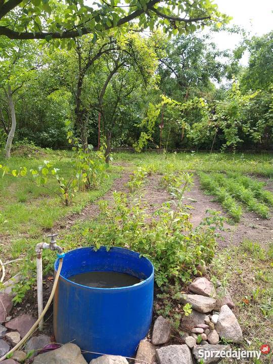 Działka rekreacyjnaa ROD LUMEL ZIELONA GÓRA Zielona Góra