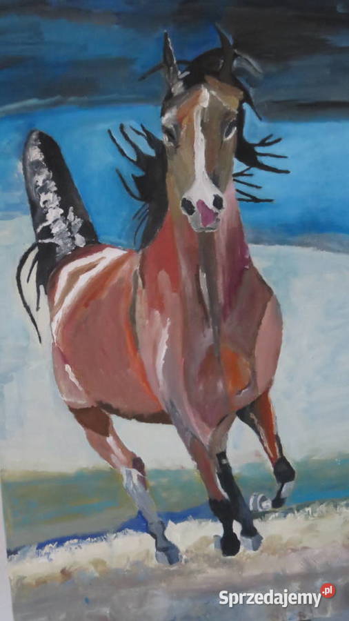 obraz olejny wielokolorowy Lublin sprzedam