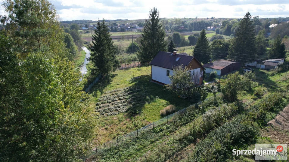 Dom wolnostojący Goraj 150m2 4600m2