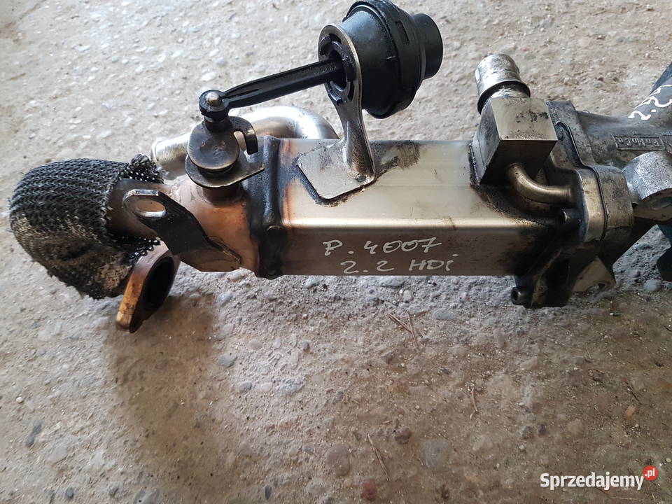 PEUGEOT 4007 22 HDI FORD TDCI CHLODNICA SPALIN terenowe Turkowice sprzedam