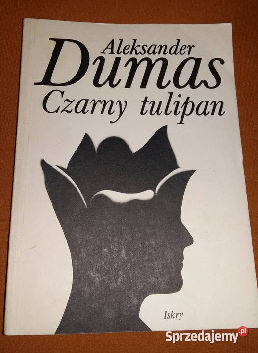 Wybranka Bogów Przepowiednia Jane Mysen łódzkie Łódź sprzedam