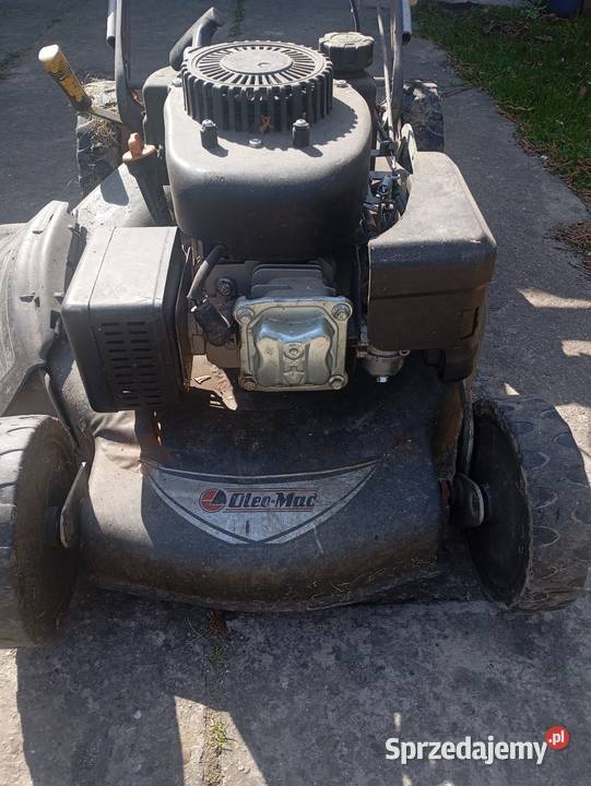 Ole mac Młodów sprzedam