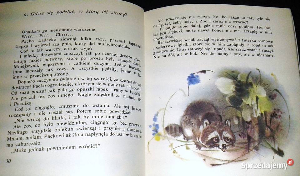 Urwis Packo Rudo Moric Chełm