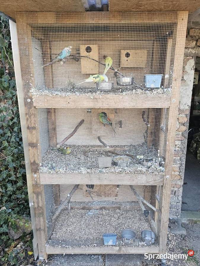 Klatkawoliera papugi Godów