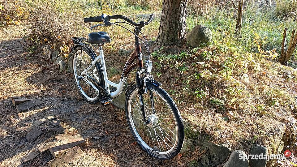 Alu Rower Miejski Damski Prophete City 600 Damka Sport i Wypoczynek Wołów