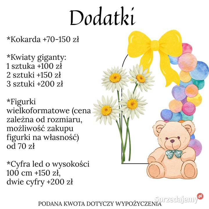 STROI SIĘ Ścianki i Dekoracje Balonowe Roczek Staniszewo