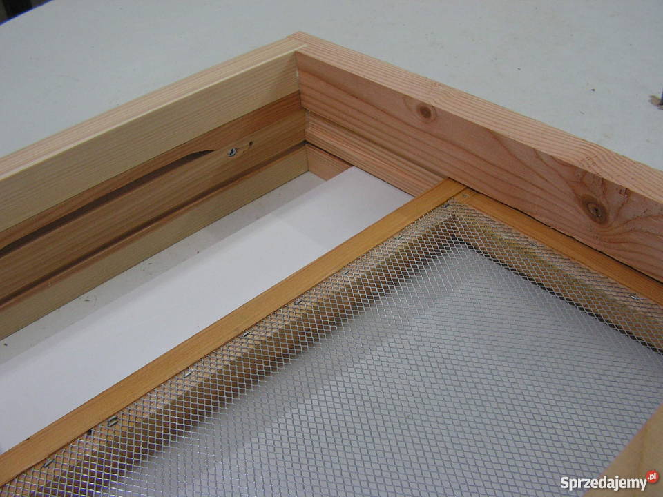 Dennica osiatkowana typ wielkopolski Akcesoria dla zwierząt Zwierzęta Roztoka