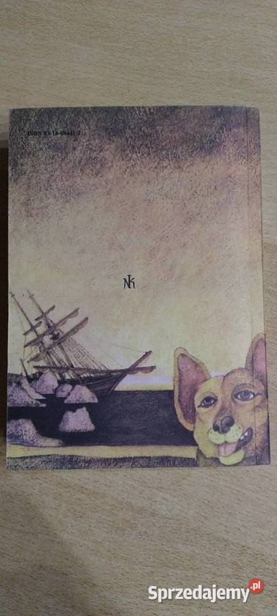 Piętnastoletni kapitan miękka Lublin