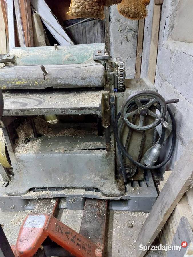 Grubościówka jaroma Jarosław