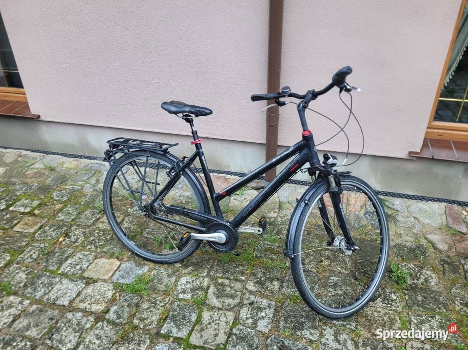 Pegasus solero Wałcz