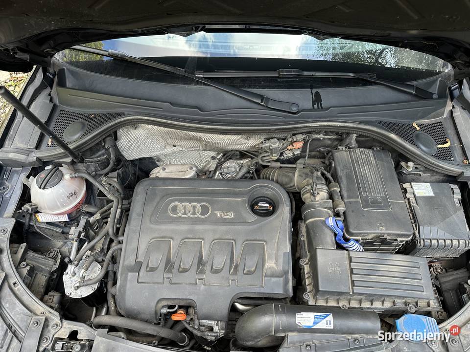 Audi Q3 Quattro relingi dachowe