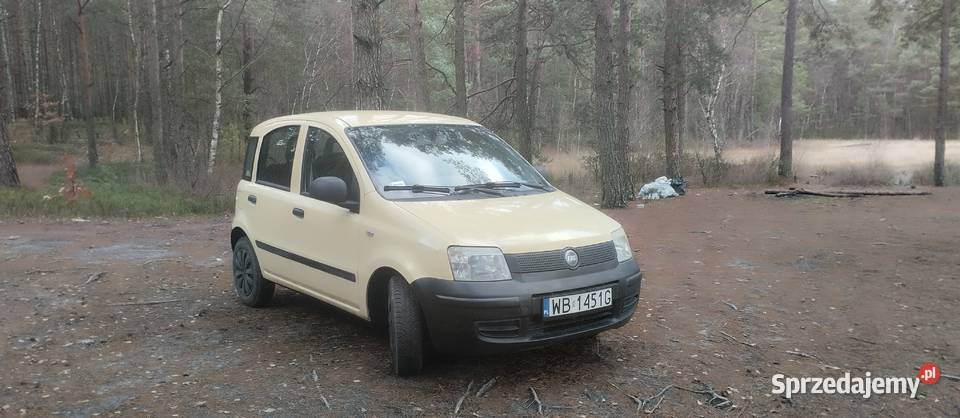 Fiat Panda 2004 benzyna mazowieckie Mińsk Mazowiecki