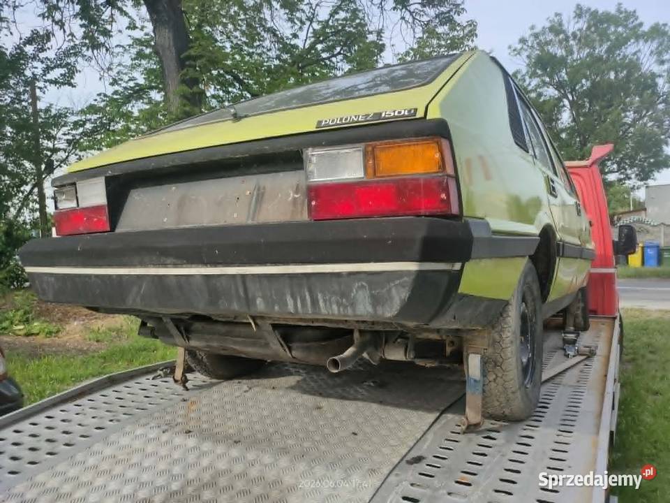 Zastava Polonez Borewicz nieuszkodzony