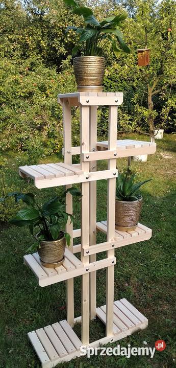 Kwietnik podkarpackie Malawa