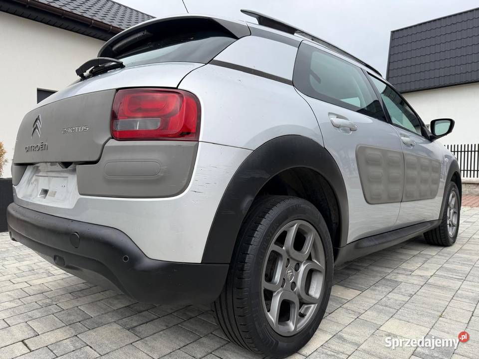 2014 Benzyna C4 Cactus Turek