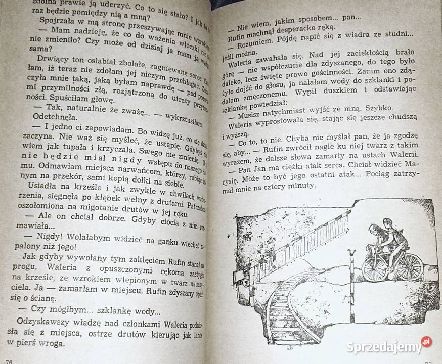 Rufin z przeceny Natalia Rolleczek Chełm