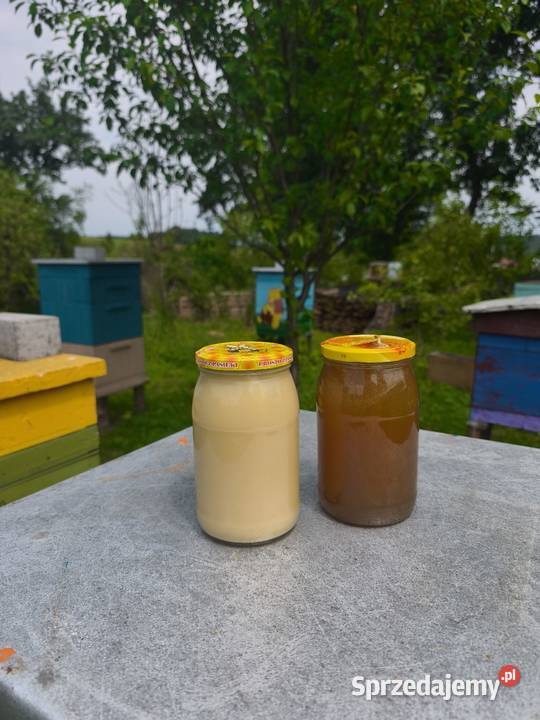 Miód z własnej pasieki podkarpackie Jawornik Ruski sprzedam