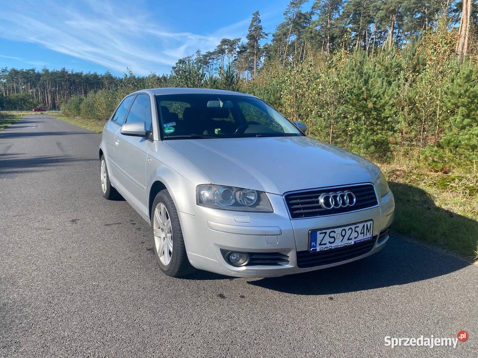 Audi a3 8p 20TDI 6biegow opony całoroczne xenon lakier metallic Goleniów