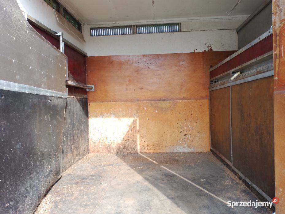 Mercedes 814 koniowóz do przewozu koni do szary