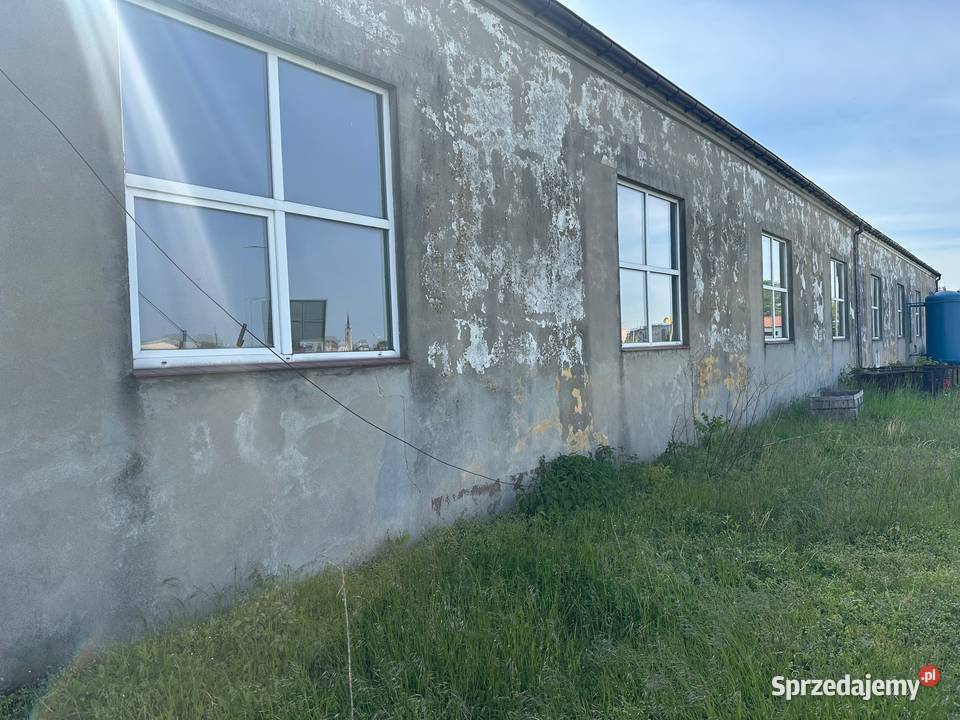 Magazyny i hale do wynajęcia Góra
