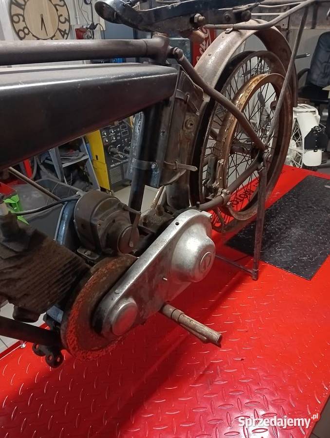 Sprzedam terrot l Gostycyn