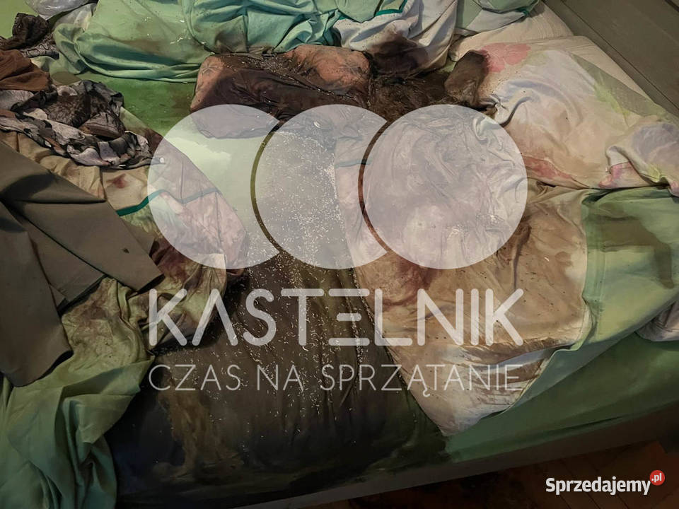 Sprzątanie zgonach Łaziska Górne Kastelnik Osuszanie i odgrzybianie