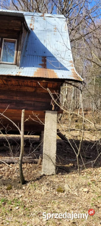 DOMEK W LESIE Targanice