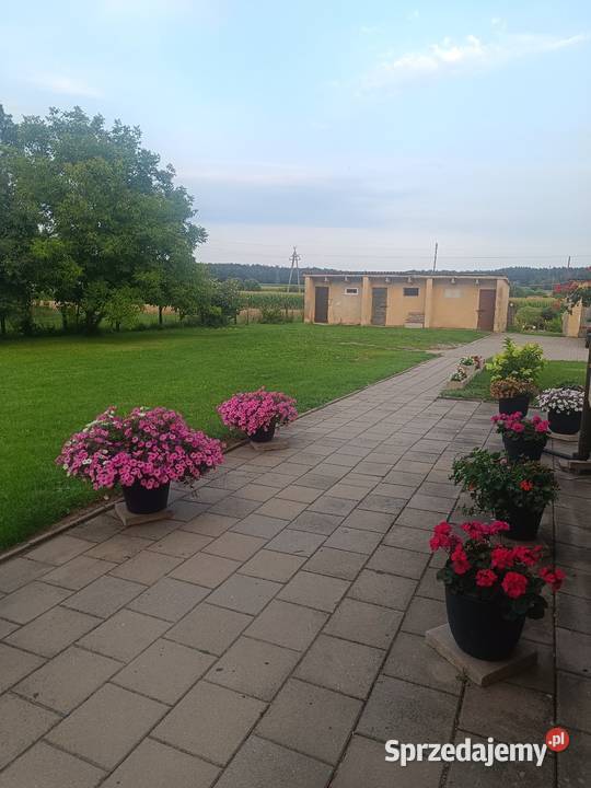 Mieszkanie Sprzedaż Poświętne