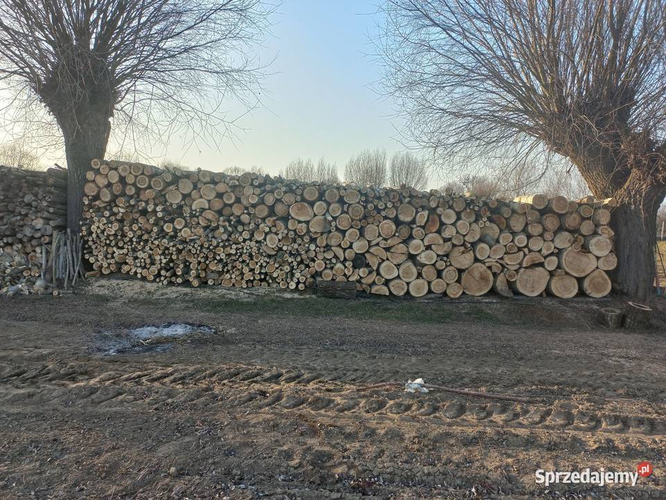 Drewno opałowe kominkowe liściaste Świniary