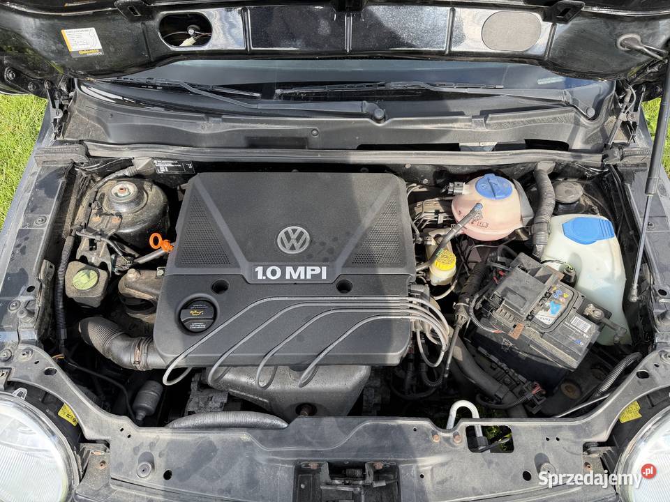 Volkswagen Lupo 10 MPI 50 2005 r 170000 stan DB wspomaganie kierownicy Hoszów