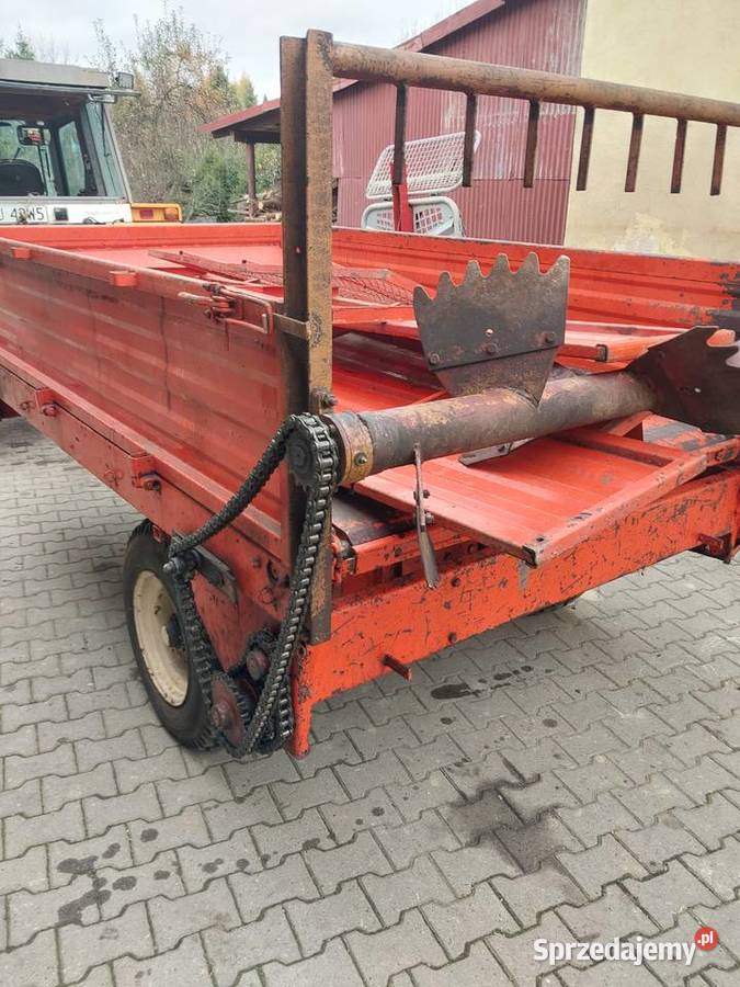 Rozrzutnik agrmet górski Jordanów sprzedam