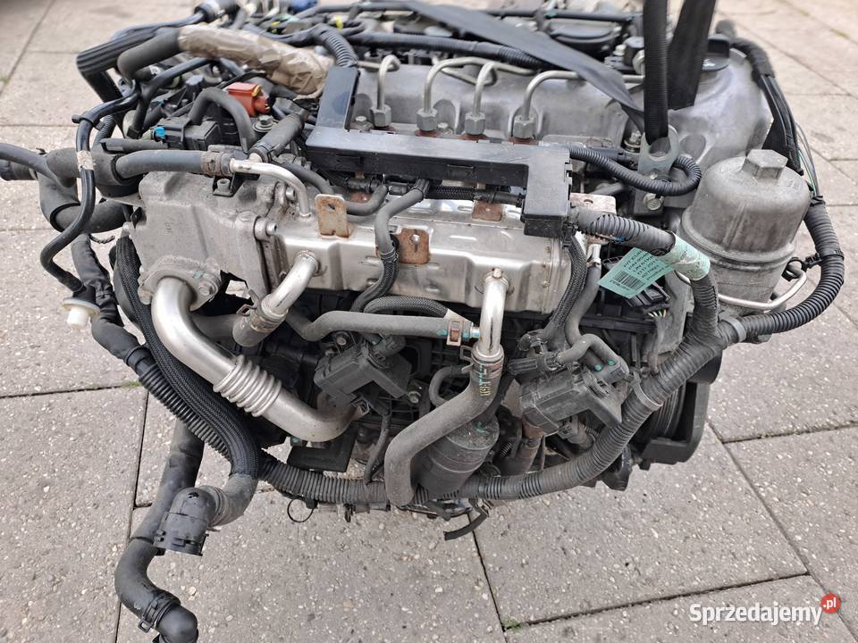 Chevrolet Cruze Captiva 20 VCDi 163 silnik Jastrzębie-Zdrój