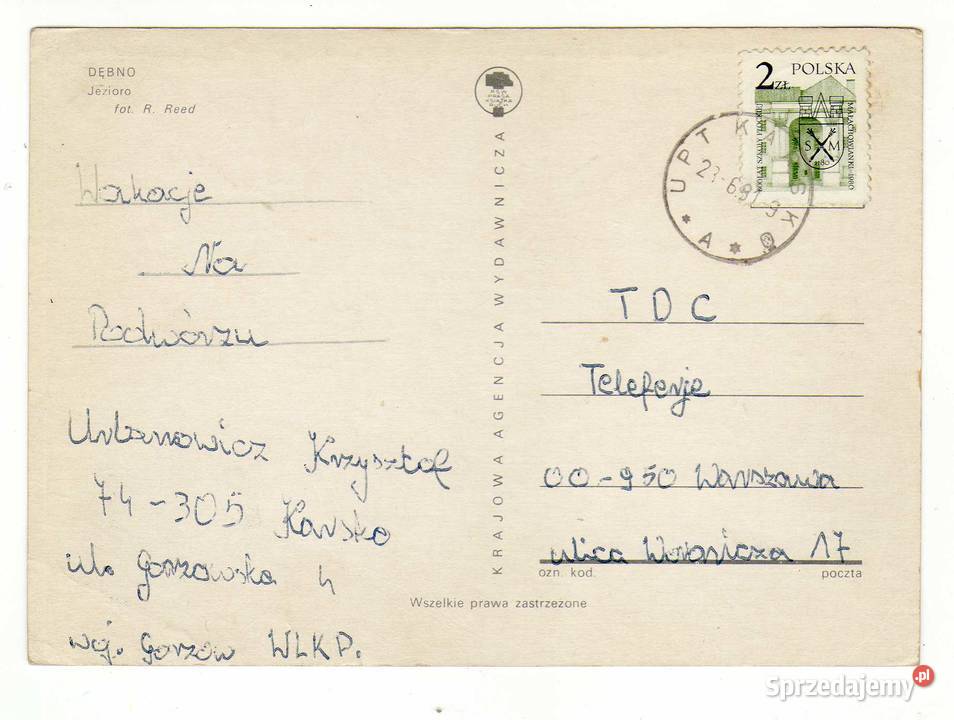 DĘBNO Kolekcje Krynki sprzedam