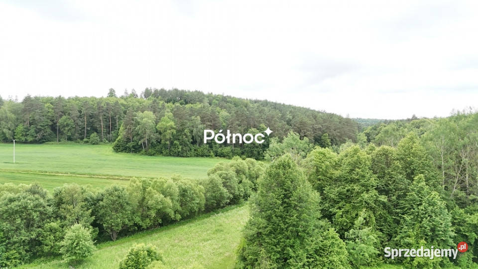 piękne ranczo z łąką i lasem pod HoryńcemZdrojem podkarpackie